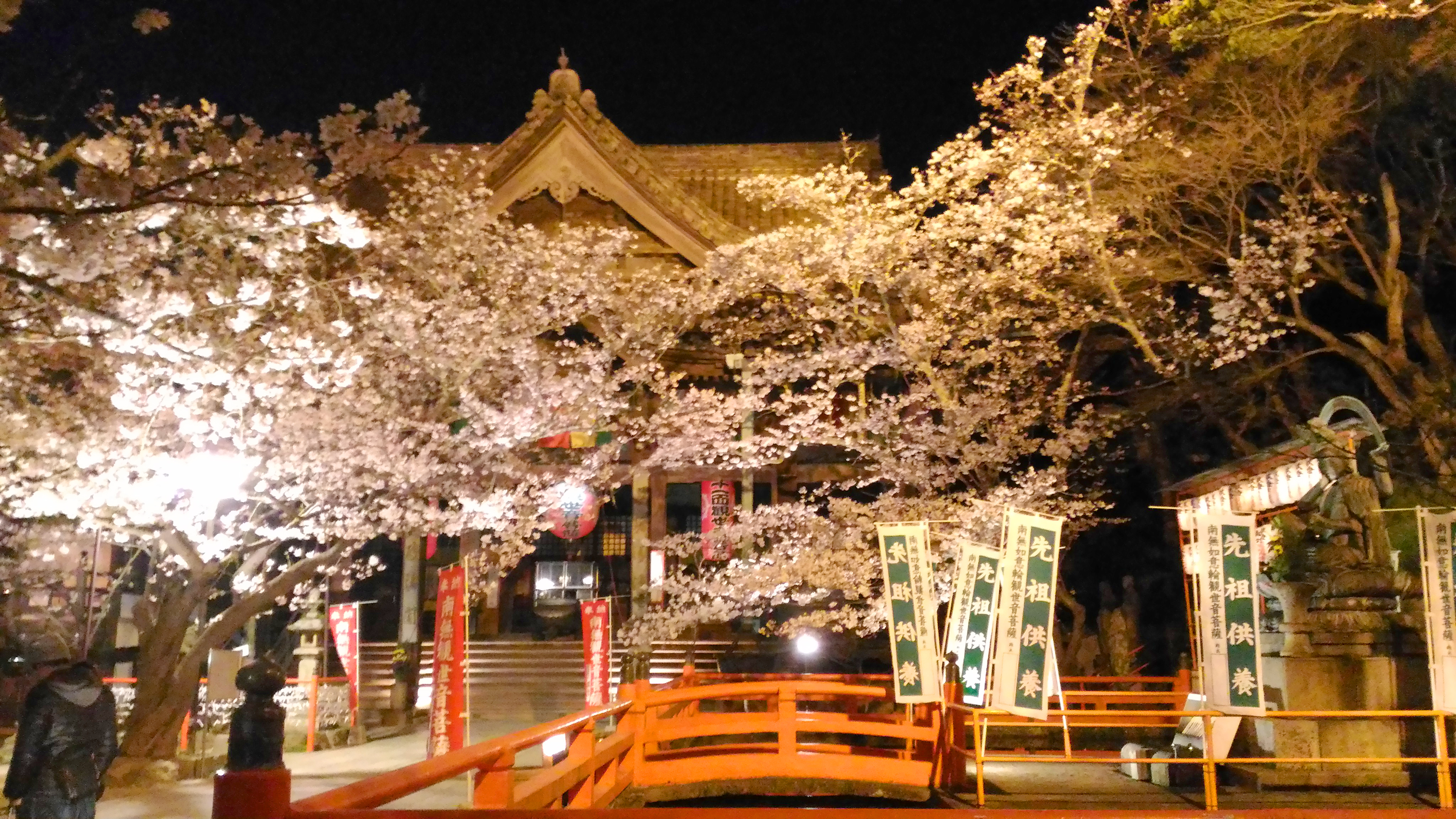 紀三井寺の夜桜はどんな景色 ライトアップは何時から お出かけスポットあるく子