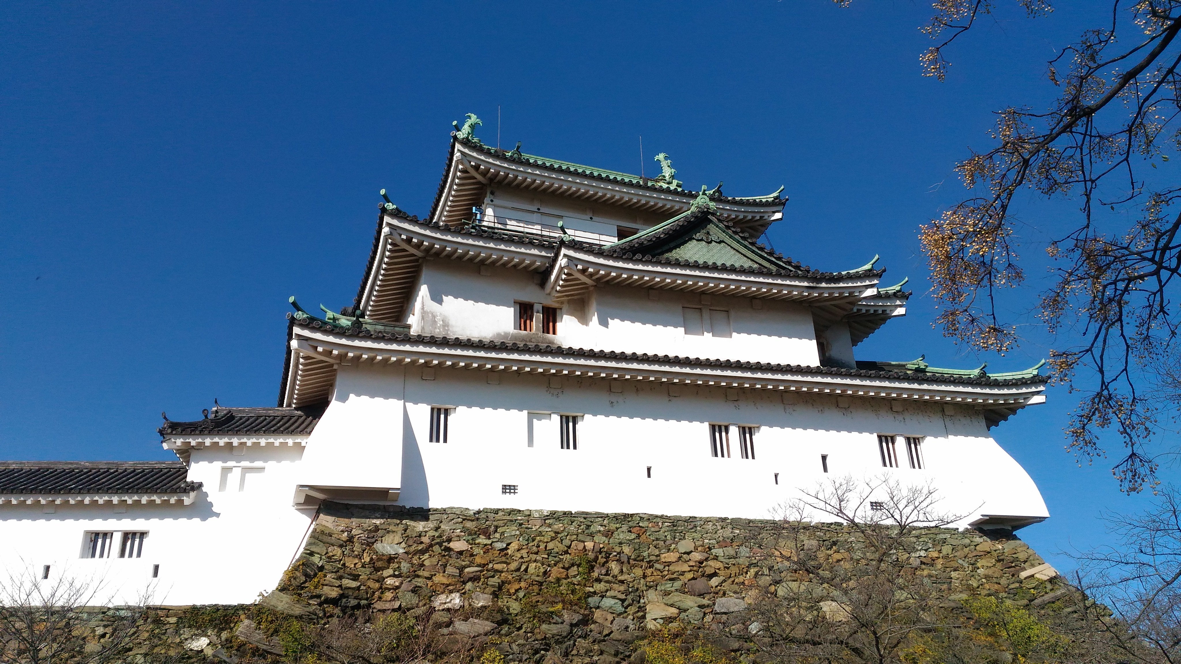 和歌山城公園観光おすすめガイド 城の周囲は桜に紅葉に動物園 お出かけスポットあるく子